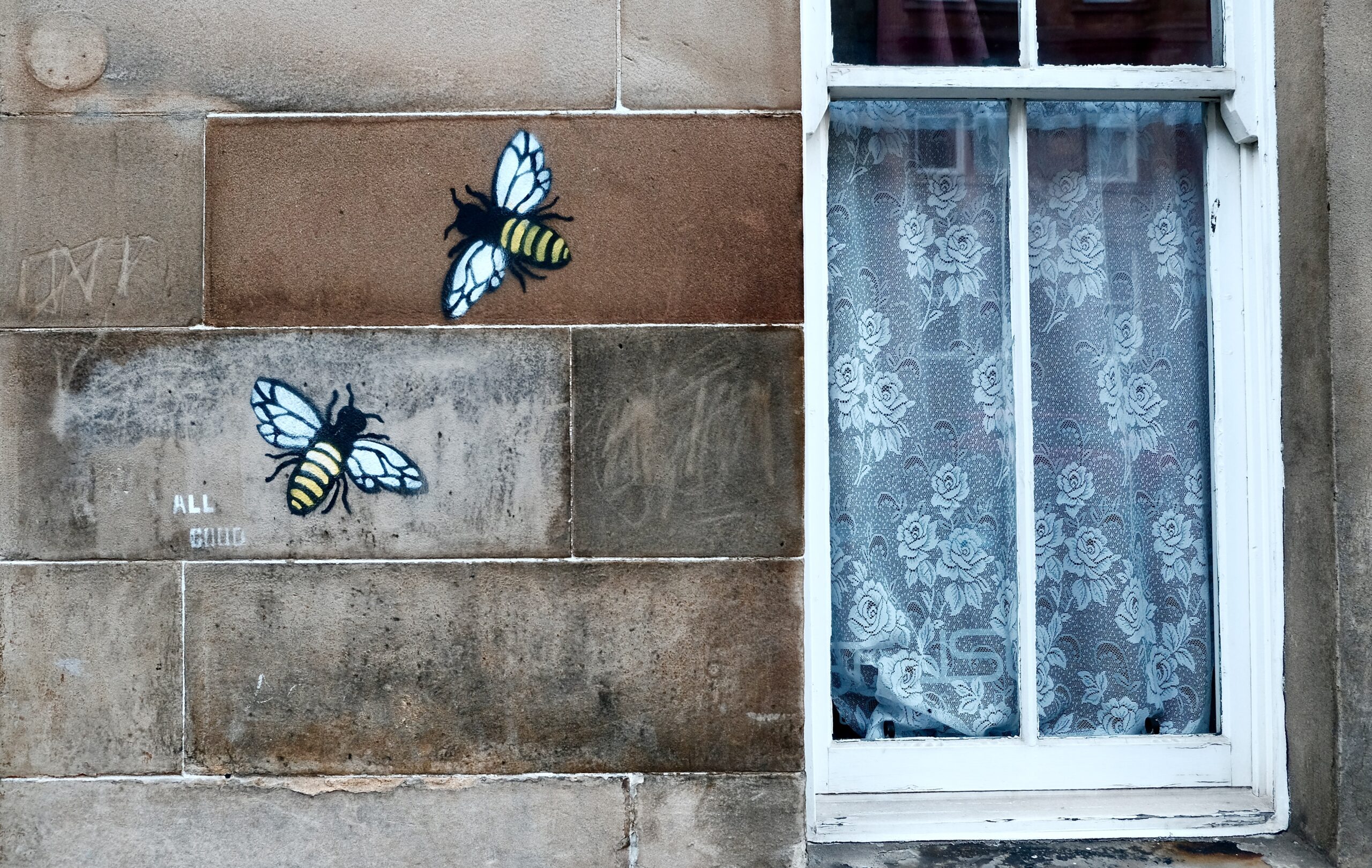 Seven days to find a new home unreasonable, unfair and completely