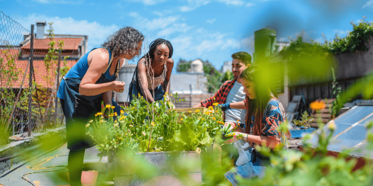 People community garden (Canva 1200 x 600)